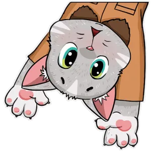 😲 고양이, 동물, 귀여운, 만화, 애완 동물, 회색 고양이 telegram sticker
