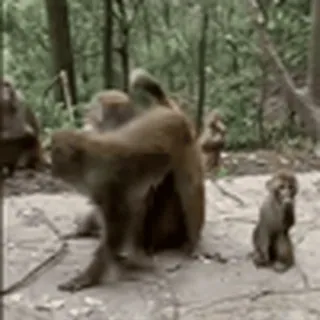 🥵
