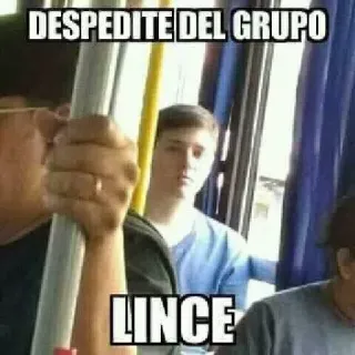 👋 DESPEDITE DEL GRUPO
LINCE meme, engraçado, internet, humor, grupo, Linx whatsapp sticker
