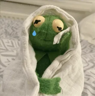 😭 Kermit the Frog The Muppets whatsapp sticker