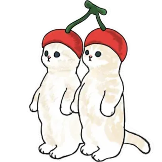 🍒 gato, cerezas, mono, kawaii, pegatina, animal whatsapp sticker