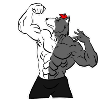 💪 мускулистый, пушистый, антро, волк, позирование, бодибилдинг, мультик telegram sticker