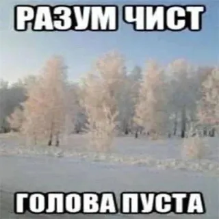 🌟 РАЗУМ ЧИСТ 
ГОЛОВА ПУСТА Schnee, Bäume, Winter, Meme, Text, Russisch telegram sticker