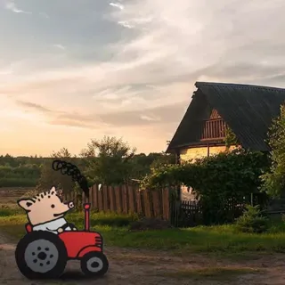 😛 豚, トラクター, 農場, 動物, 漫画 telegram sticker