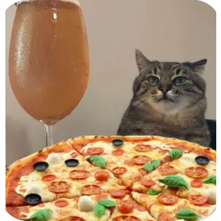 🫥 kot, pizza, jedzenie, napój, zwierzę, pręgowany telegram sticker