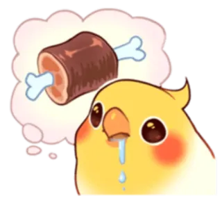 🍖 นกค็อกคาเทล, นก, เนื้อ, ฝัน, น่ารัก, สัตว์, การ์ตูน telegram sticker