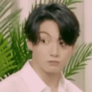 🤨 người, đàn ông, chân dung, biểu cảm khuôn mặt, người nổi tiếng, kpop telegram sticker