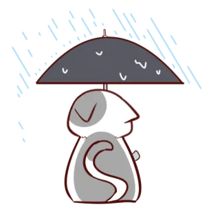 ☔ mèo, ô, mưa, động vật, dễ thương telegram sticker