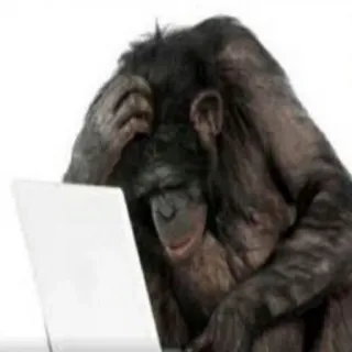 🧐 małpa, zwierzę, laptop, komputer, myślenie telegram sticker