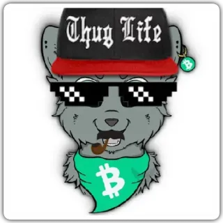 🐱 Thug Life Thug Life, Kacamata hitam, Gangster, Serigala kartun whatsapp sticker