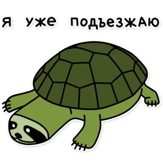 🐢 Я уже подъезжаю tortue, animal, paresseux, drôle, lent, arrivée, paresseux whatsapp sticker