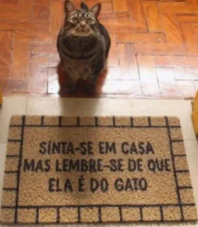 🌚 SINTA-SE EM CASA
MAS LEMBRE-SE DE QUE
ELA É DO GATO cat, welcome mat, home, pet, funny, doormat telegram sticker