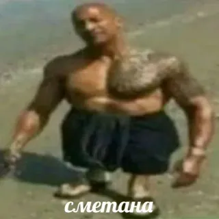 🤨 сметана nano, divertente, meme telegram sticker