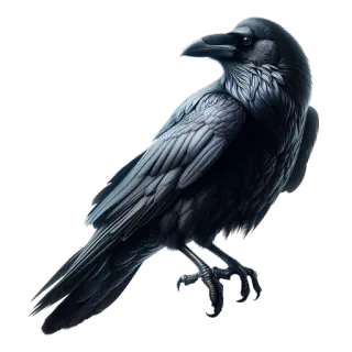 Neiro Animals @a_lot_of_facts whatsapp stickers