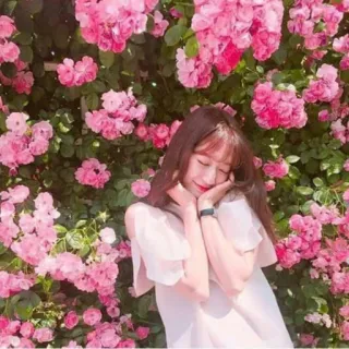 🌸 woman, flowers, pink, asian, girl, portrait, garden whatsapp sticker
