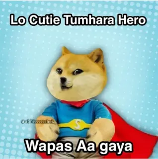 😎 Doge Lo Cutie Tumhara Hero Wapas Aa gaya telegram sticker