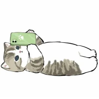 💗 kot, zwierzę, kociak, zwierzę domowe, kot domowy, telefon, słodki, leżący telegram sticker