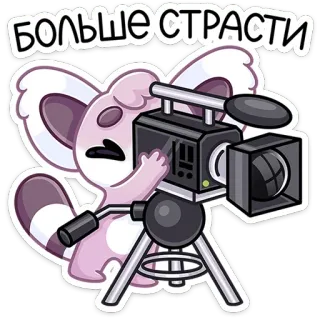 🎥 Больше страсти 만화, 코알라, 카메라, 열정, 러시아 telegram sticker