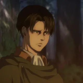 🏹 Levi Ackerman Attack on Titan levi, attack on titan, anime, manga, postać, kapitan, aot telegram sticker