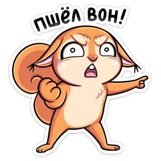 😡 Пшёл вон! Eichhörnchen, wütend, Cartoon, russisch, Ausdruck telegram sticker