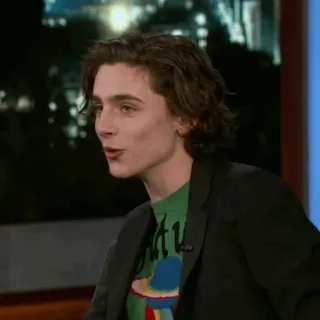 🥀 Timothée Chalamet diễn viên, người nổi tiếng, chương trình TV, talk show, phỏng vấn telegram sticker