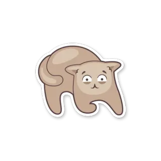 😱 gatto, animale, carino, adesivo, cartone animato telegram sticker