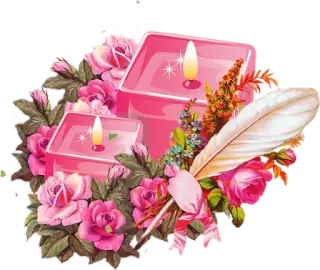 🌺 свечи, розы, цветы, перо, романтика, розовый telegram sticker