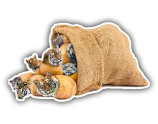 🍟 tigre, patatas, bolsa, animal, gracioso, meme, comida, humor whatsapp sticker