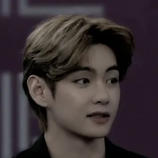 🕸 V K-pop, Música, Cantor, Asiático, Masculino, BTS telegram sticker