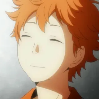 ⚰ Hinata Shoyo Haikyuu!! Anime, Haikyuu, Hinata Shoyo, Shonen, Esportes, Mangá telegram sticker