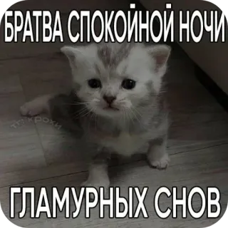 Больше стиков тут: @stikery4 whatsapp stickers