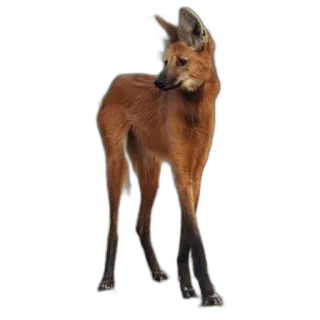 FopsButNoBackground telegram stickers