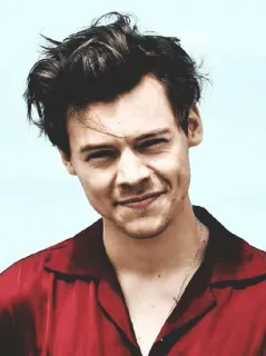 💸 Harry Styles Musicien, Chanteur, Pop star, Célébrité, Harry Styles telegram sticker