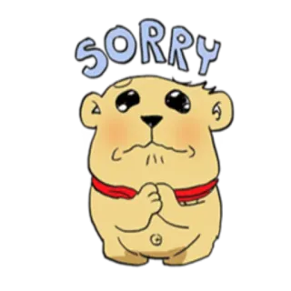 😞 SORRY Entschuldigung, sorry, süß, Cartoon, Bär, Ausdruck telegram sticker