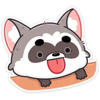 😝 zwierzę, szop, słodki, naklejka, kreskówka, kawaii, zabawny, język whatsapp sticker