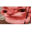 👺