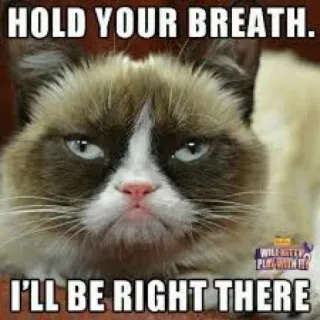😣 Grumpy Cat HOLD YOUR BREATH.
I'LL BE RIGHT THERE 暴躁猫, 表情包, 猫, 搞笑, 幽默 whatsapp sticker