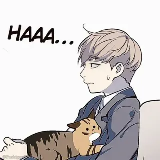 🌩 HAAA... Манхва, Кот, Человек, Речевой пузырь, Мультфильм whatsapp sticker