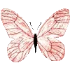 🦋
