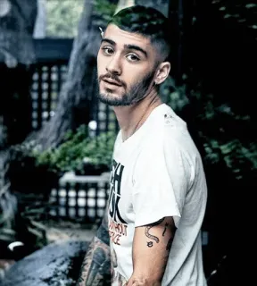 👀 Zayn Malik singer, male, portrait, celebrity telegram sticker