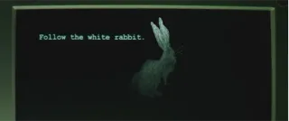 👣 The Matrix Follow the white rabbit. Matrix, weißes Kaninchen, Film, folgen, Kaninchen, Computerbildschirm whatsapp sticker