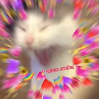 🩹 звуки любви Katze, Herzen, Liebe, Regenbogen, süß whatsapp sticker