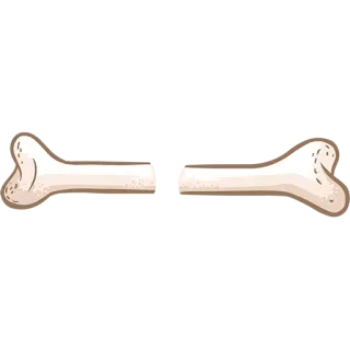 ✨ bone, dog, animal, cartoon, food, toy telegram sticker