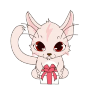🎁 gato, animal, lindo, regalo, dibujo animado, obsequio whatsapp sticker
