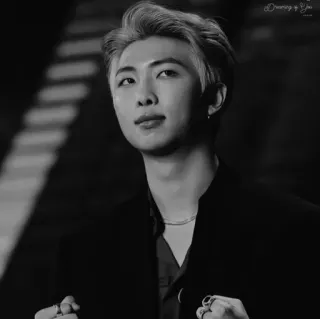 🕳 RM RM, BTS, K-pop, cantor, músico, celebridade telegram sticker
