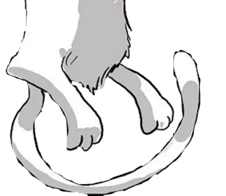 🐱 gato, cola, patas, blanco, animal, mascota telegram sticker