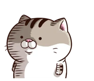 😨 고양이, 동물, 귀여운, 스티커 telegram sticker