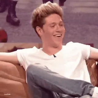 🥯 Niall Horan 名人, 音乐家, 歌手, 单向乐队, 尼尔·霍拉尼 telegram sticker