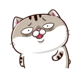 😨 Katze, Tier, Cartoon, süß, lustig, Ausdruck whatsapp sticker