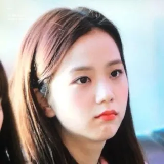 🐤 Jisoo kpop, cantor, celebridade, jisoo, blackpink, mulher, retrato whatsapp sticker